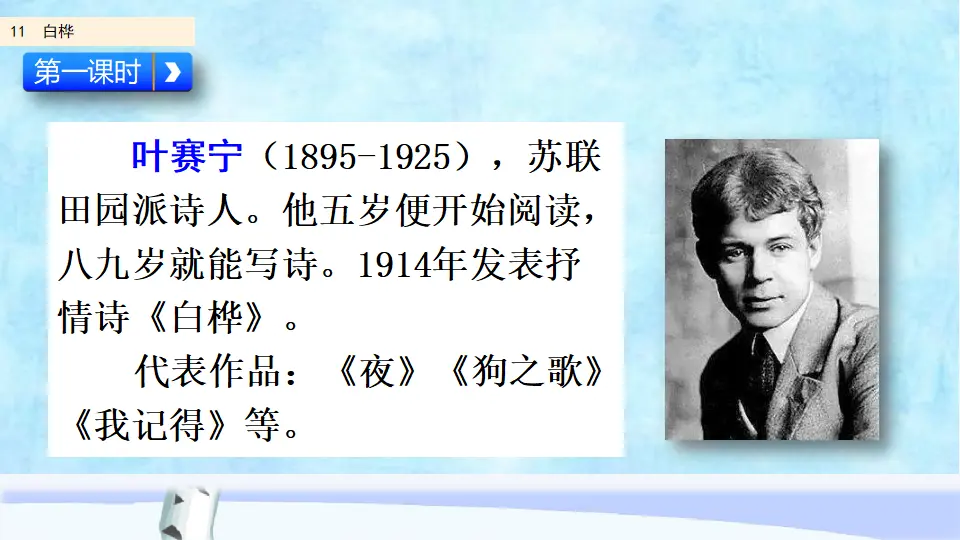11 白桦（课件2）_02.webp