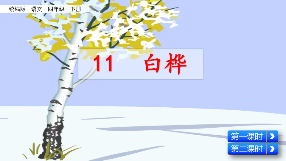 11 白桦（课件2）_01.webp