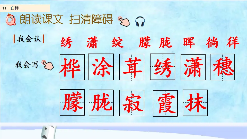 11 白桦（课件2）_05.webp