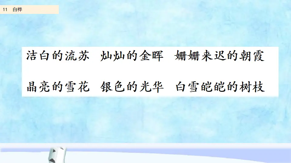 11 白桦（课件2）_04.webp