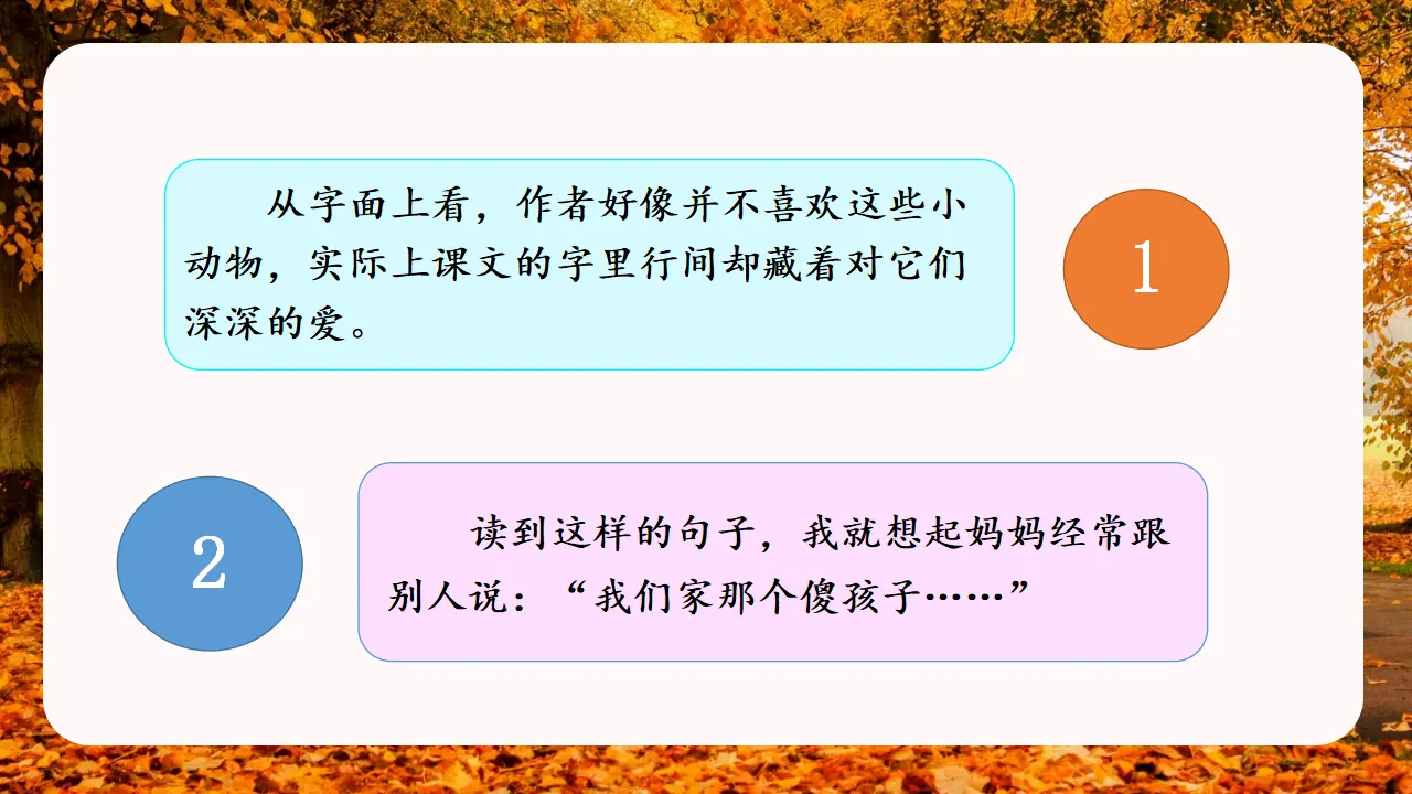 语文园地四（课件3）_04.webp