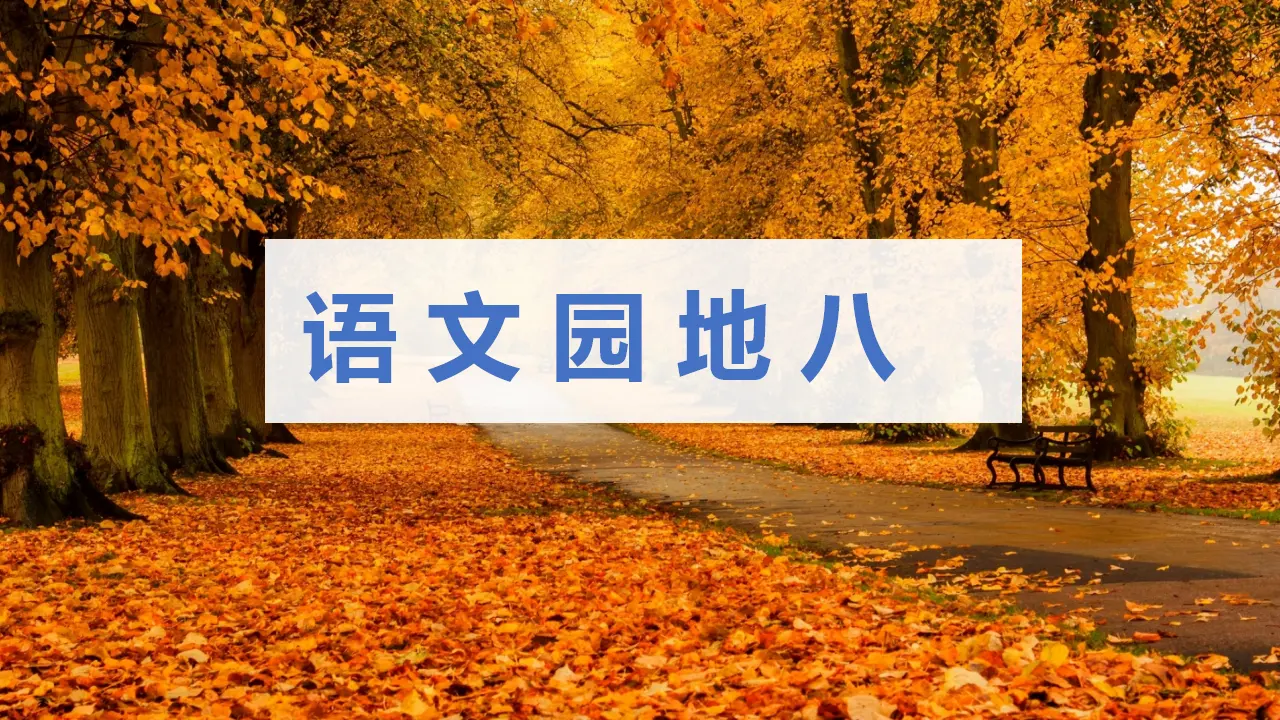 语文园地八（课件3）_01.webp