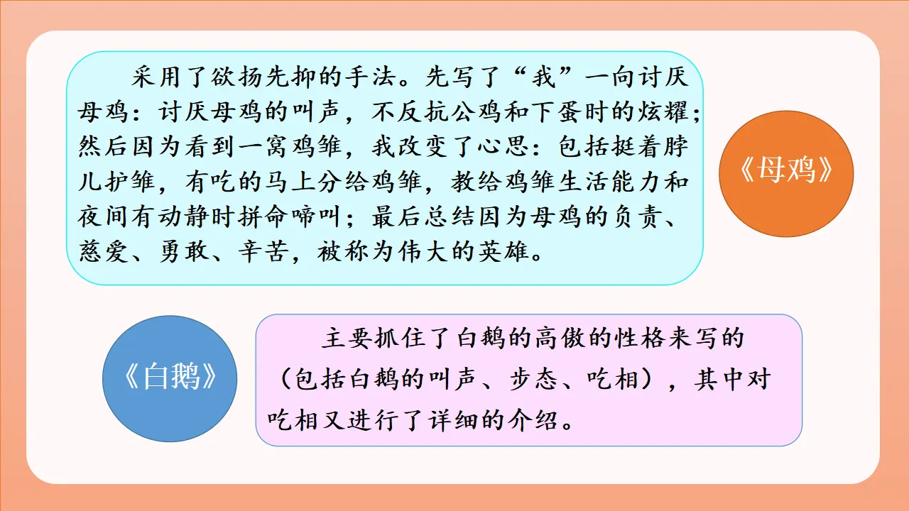 习作四  我的动物朋友（课件3）_05.webp