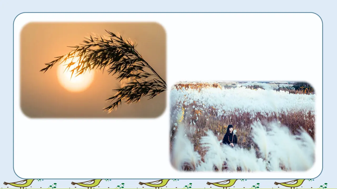 21.芦花鞋（课件3）_02.webp