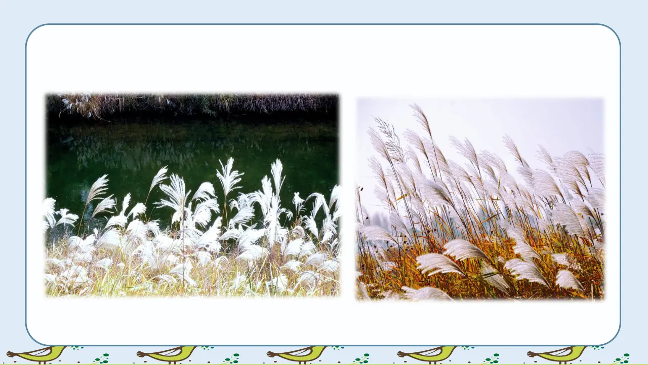 21.芦花鞋（课件3）_03.webp