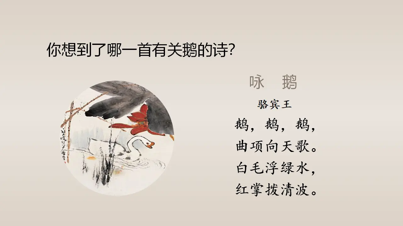 15.白鹅（课件3）_02.webp