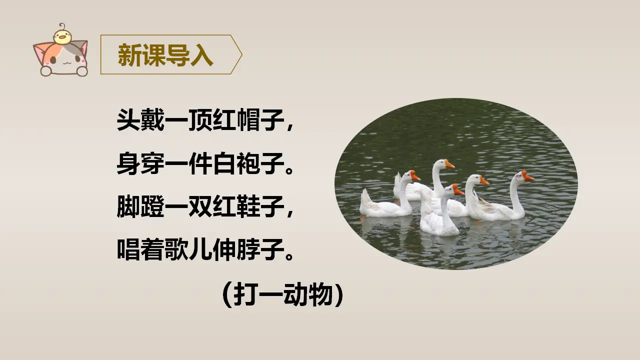 15.白鹅（课件3）_01.webp