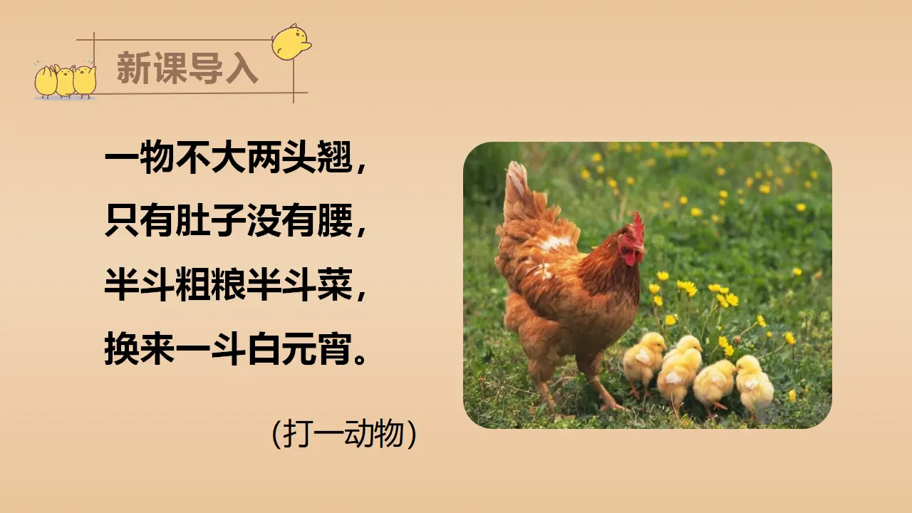 14.母鸡（课件3）_01.webp
