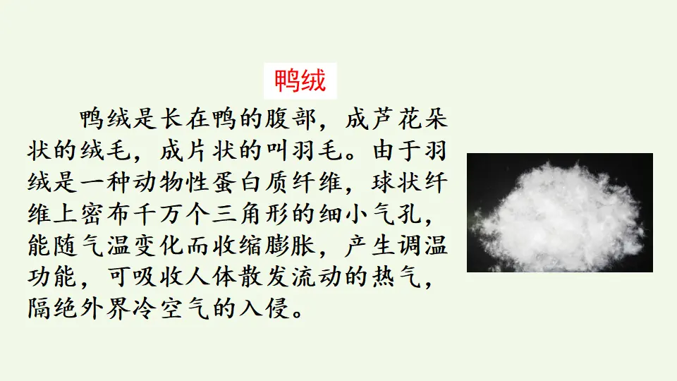链接：鸭绒（课件4）_01.webp
