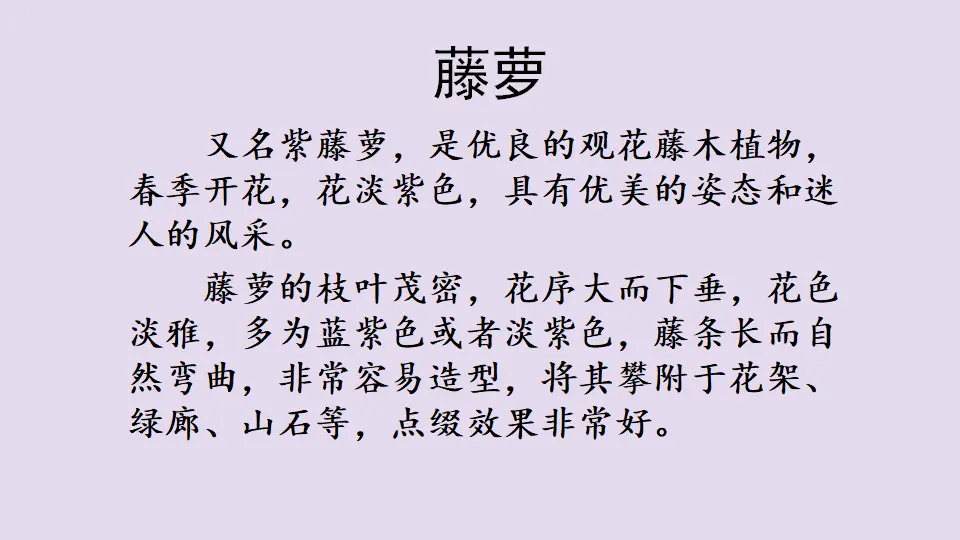 链接：藤萝（课件4）_01.webp