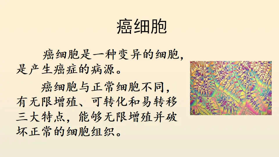 链接9：癌细胞（课件4）_01.webp