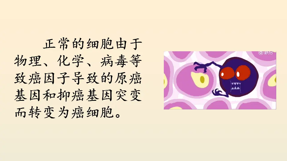 链接9：癌细胞（课件4）_02.webp
