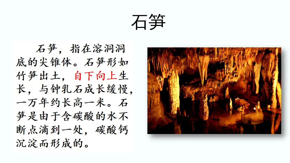 链接5：石笋（课件4）_01.webp