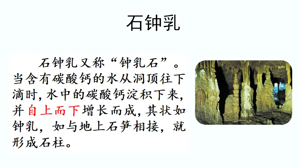 链接4：石钟乳（课件4）_01.webp