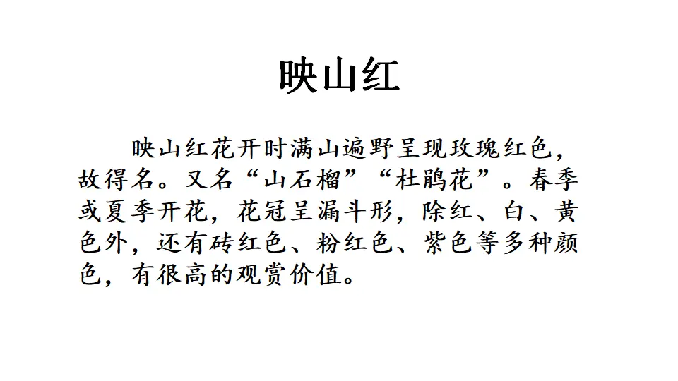 链接2：映山红（课件4）_01.webp