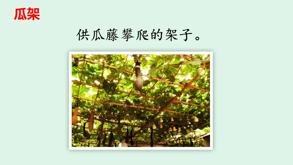 链接1：瓜架（课件4）_01.webp