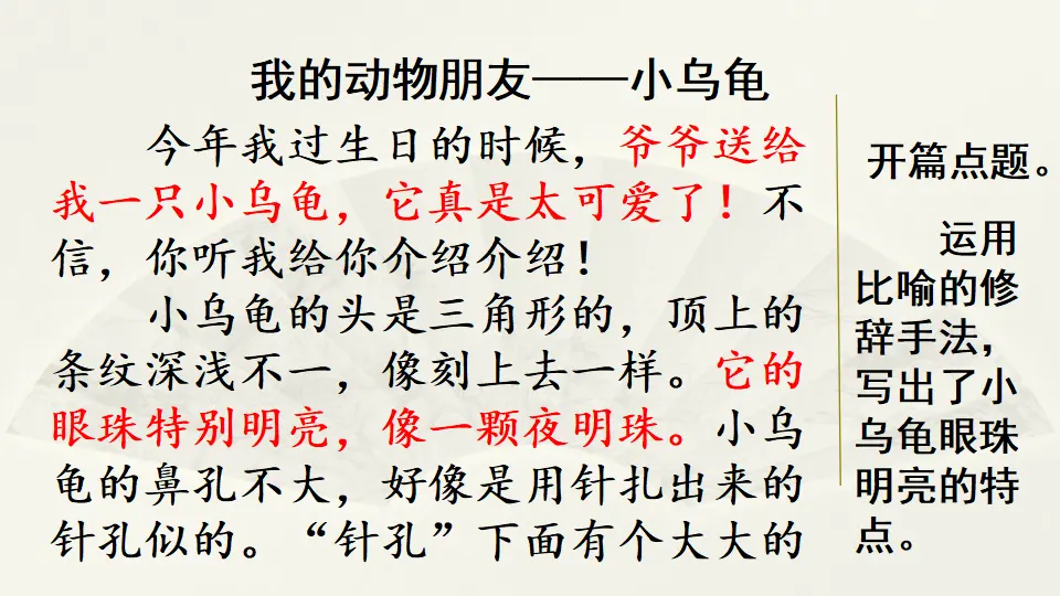 范文2：我的动物朋友——小乌龟（课件4）_01.webp