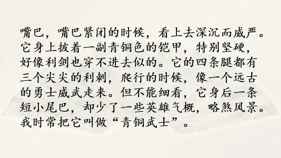 范文2：我的动物朋友——小乌龟（课件4）_02.webp