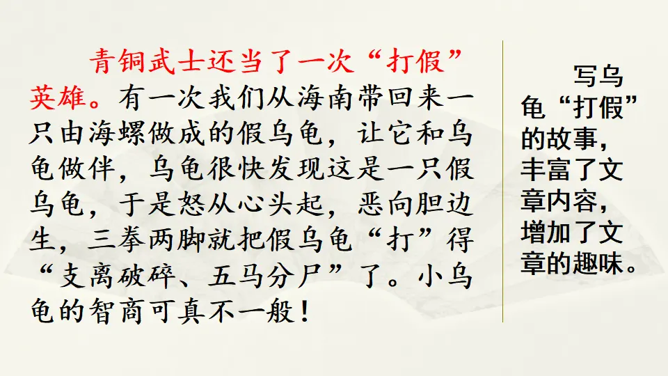 范文2：我的动物朋友——小乌龟（课件4）_03.webp