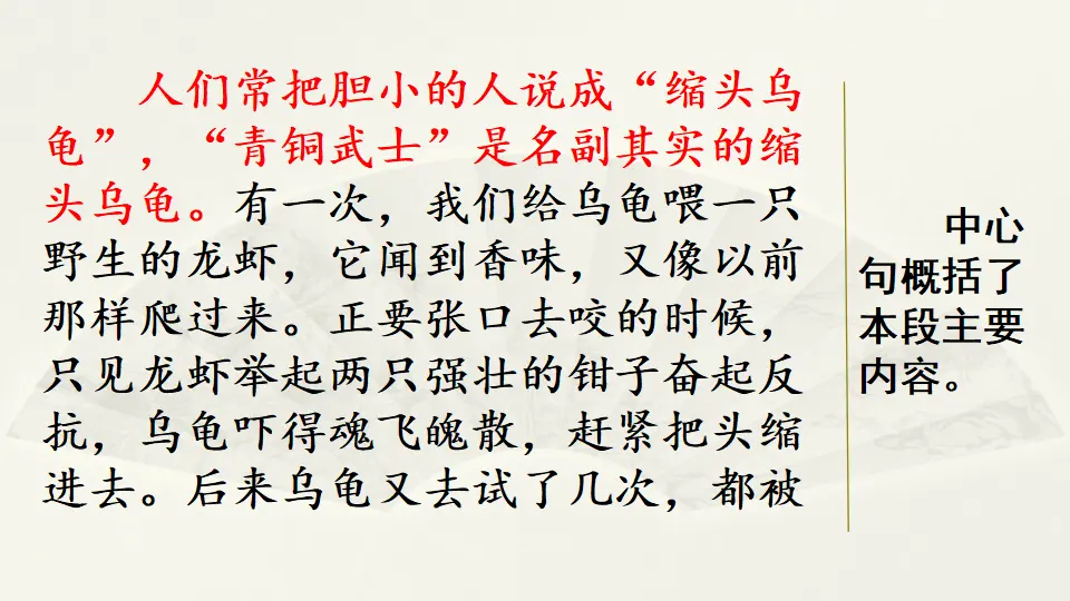 范文2：我的动物朋友——小乌龟（课件4）_04.webp