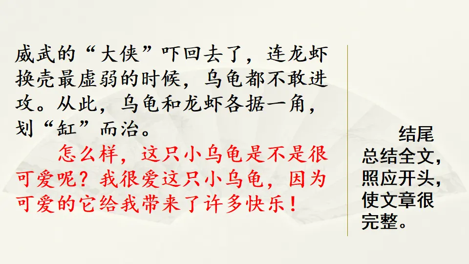 范文2：我的动物朋友——小乌龟（课件4）_05.webp