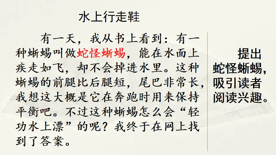 范文1：水上行走鞋（课件4）_01.webp