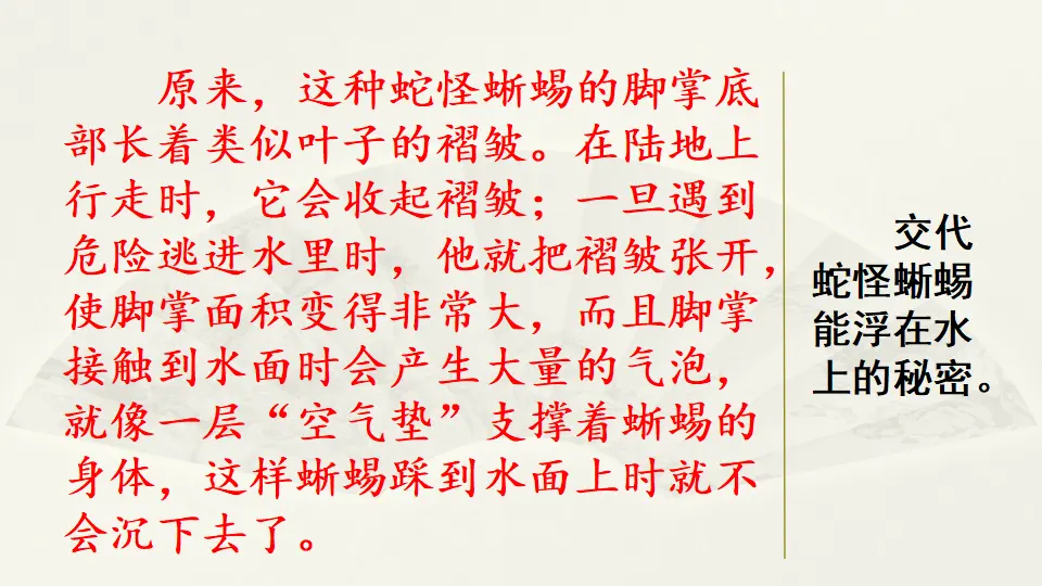 范文1：水上行走鞋（课件4）_02.webp