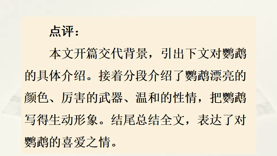 范文1：我的动物朋友——小鹦鹉（课件4）_04.webp