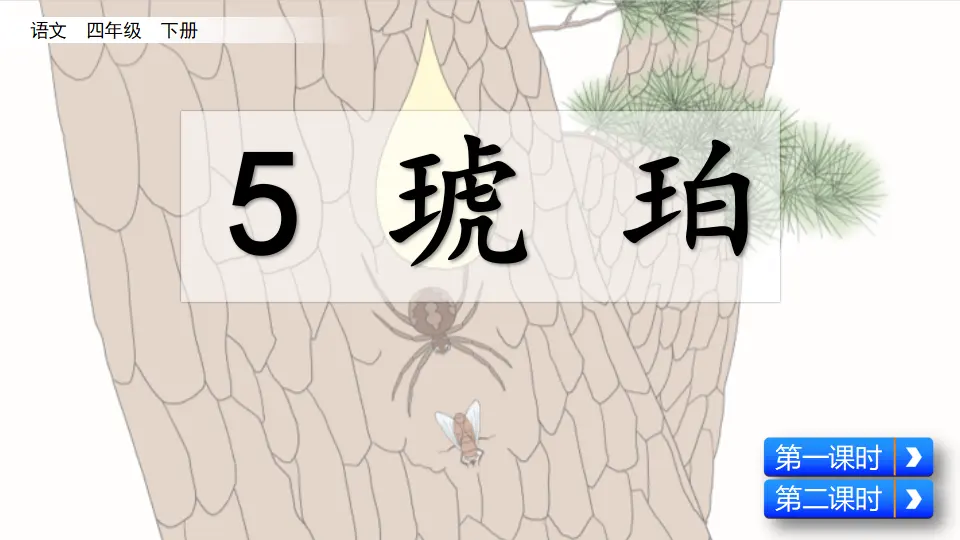 5  琥珀（课件4）_02.webp