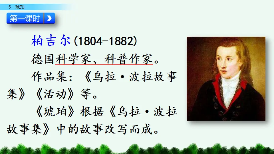 5  琥珀（课件4）_03.webp