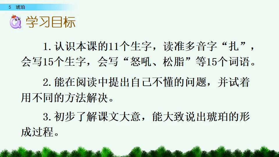 5  琥珀（课件4）_04.webp