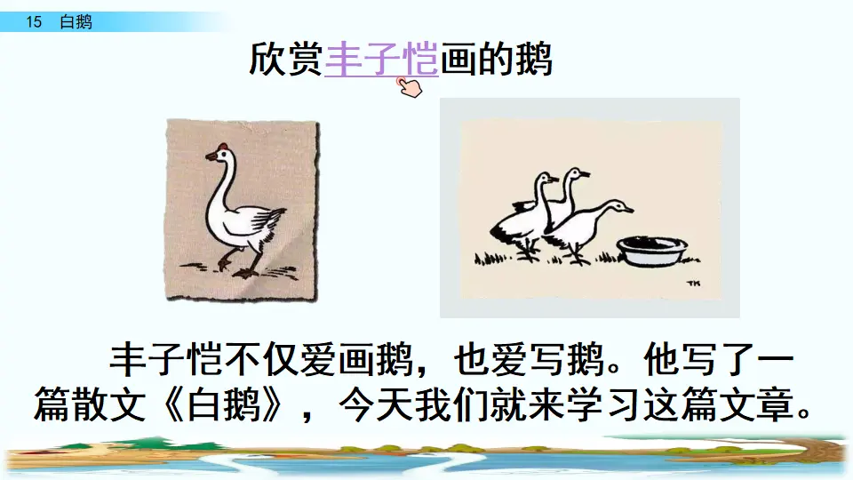 15 白鹅（课件4）_02.webp
