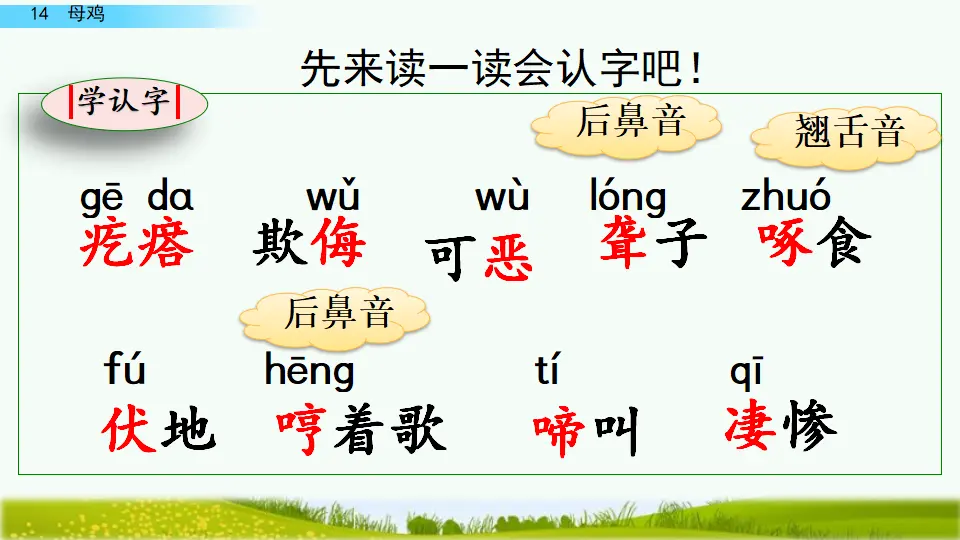 14 母鸡（课件4）_05.webp