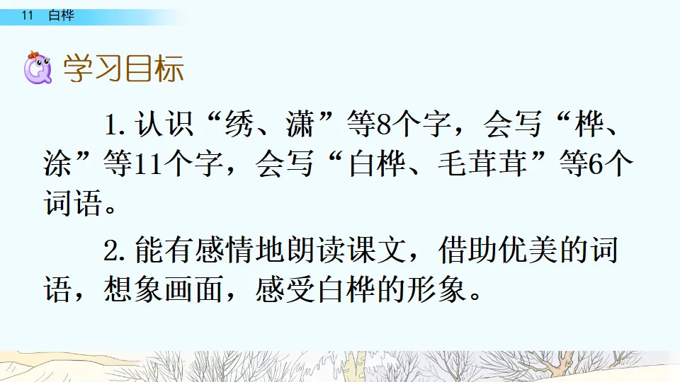 11 白桦（课件4）_04.webp