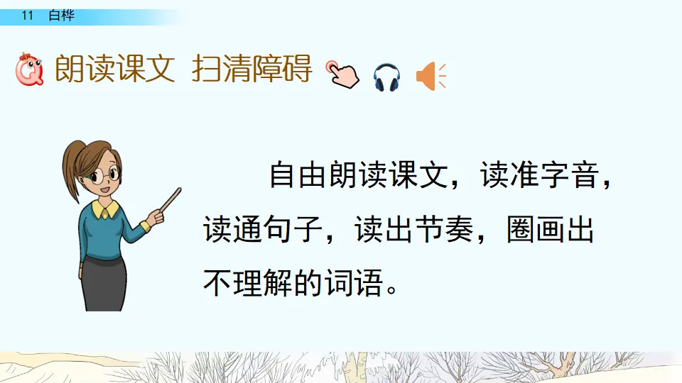 11 白桦（课件4）_05.webp
