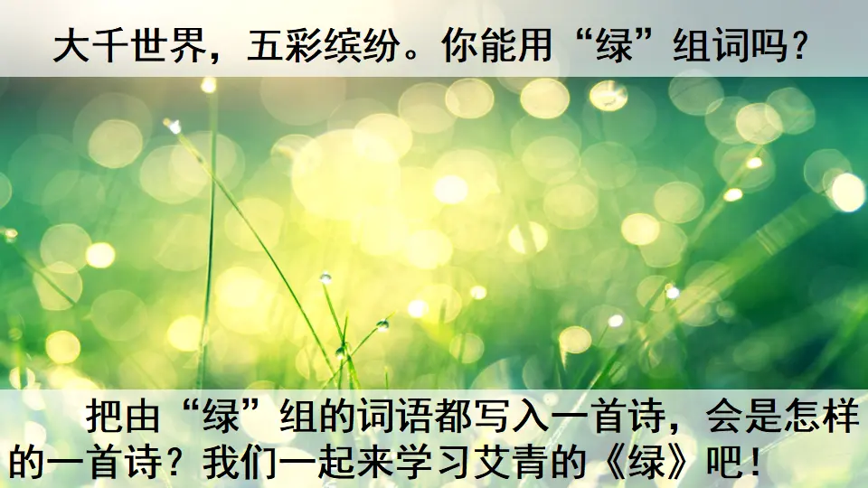 10 绿（课件4）_01.webp