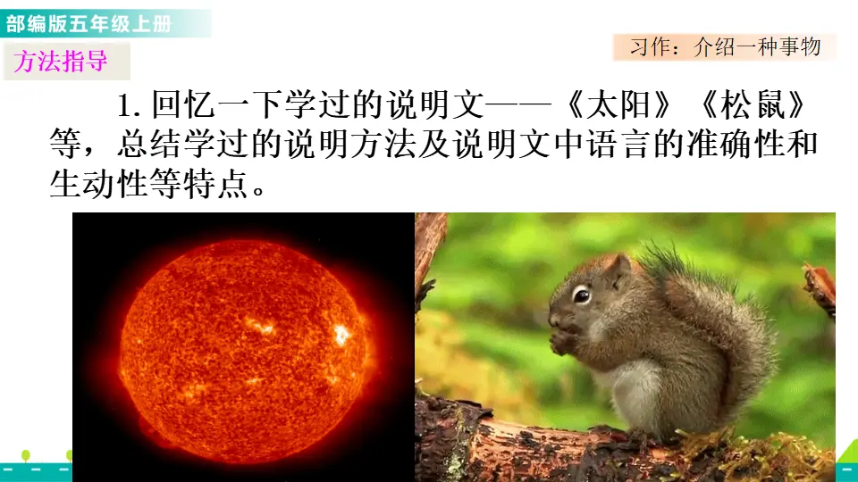 习作：介绍一种事物（课件1）_02.webp