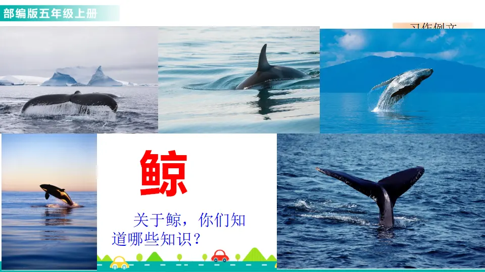 习作例文（课件1）_02.webp