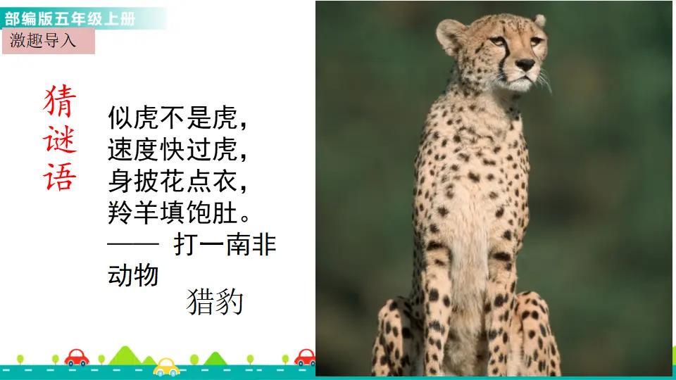7 什么比猎豹的速度更快（课件1）_02.webp