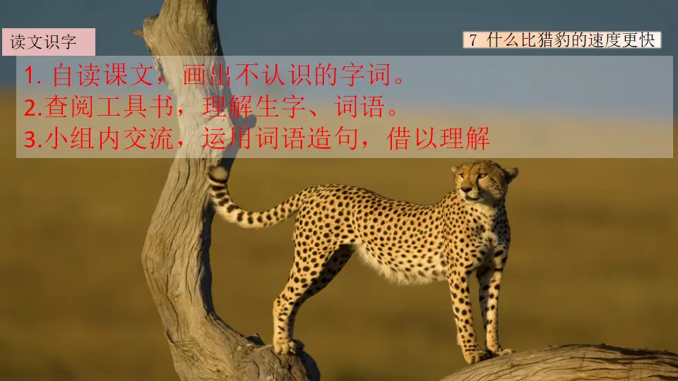 7 什么比猎豹的速度更快（课件1）_03.webp