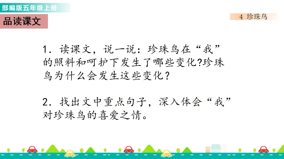 4 珍珠鸟（课件1）_05.webp
