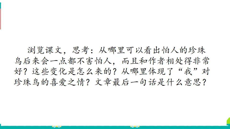4 珍珠鸟（课件1）_04.webp