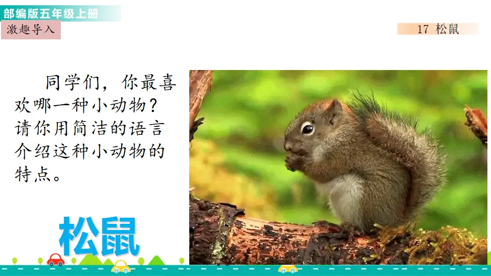 17 松鼠（课件1）_01.webp
