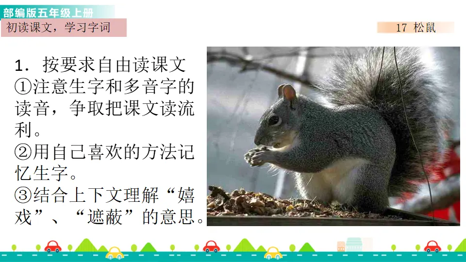 17 松鼠（课件1）_02.webp