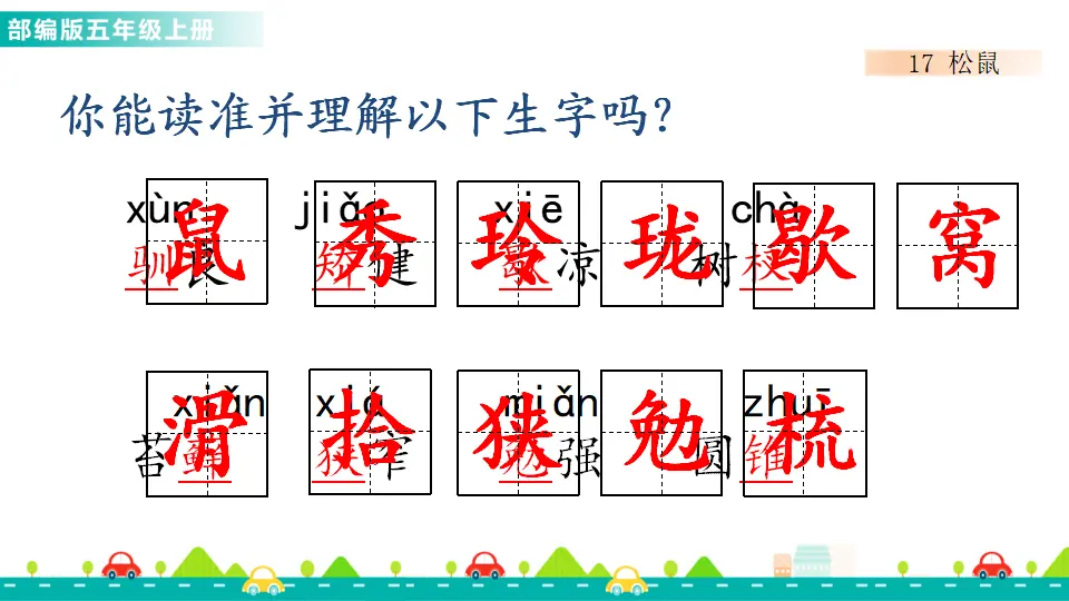 17 松鼠（课件1）_03.webp