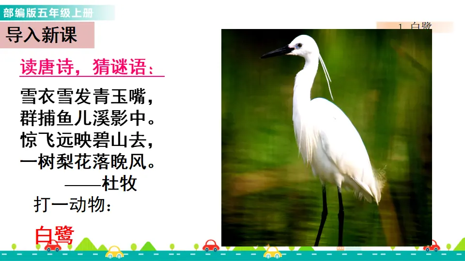 1 白鹭（课件1）_02.webp