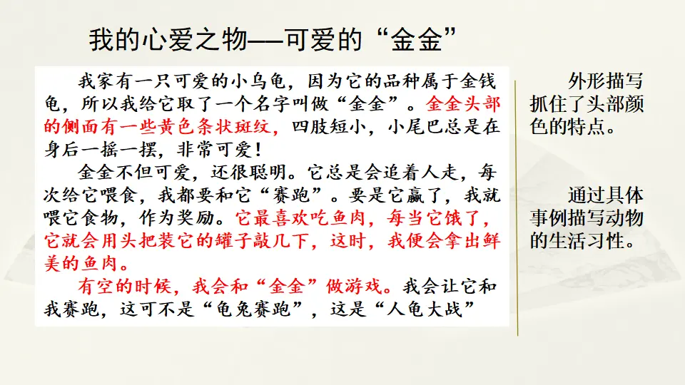 范文2：我的心爱之物——可爱的“金金”（课件2）_01.webp