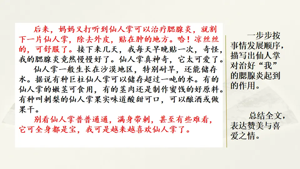 范文1：我的心爱之物——仙人掌（课件2）_02.webp
