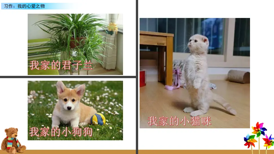 习作：我的心爱之物（课件2）_04.webp