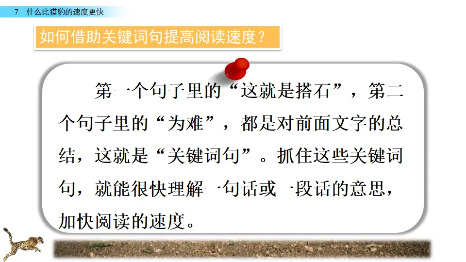 7 什么比猎豹的速度更快（课件2）_05.webp